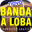 Banda A Loba 2018 palco mp3 sua musica ta rocheda APK