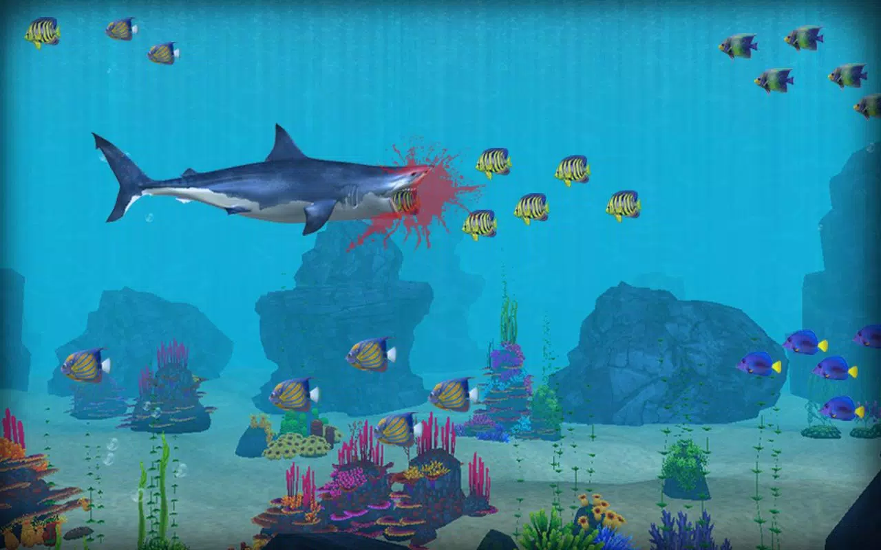 Hungry Shark Attack - Wild Shark Games 2019 - Download APK