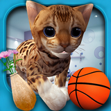 Cat Simulator Kitty 3D - FREE GAME Zeichen
