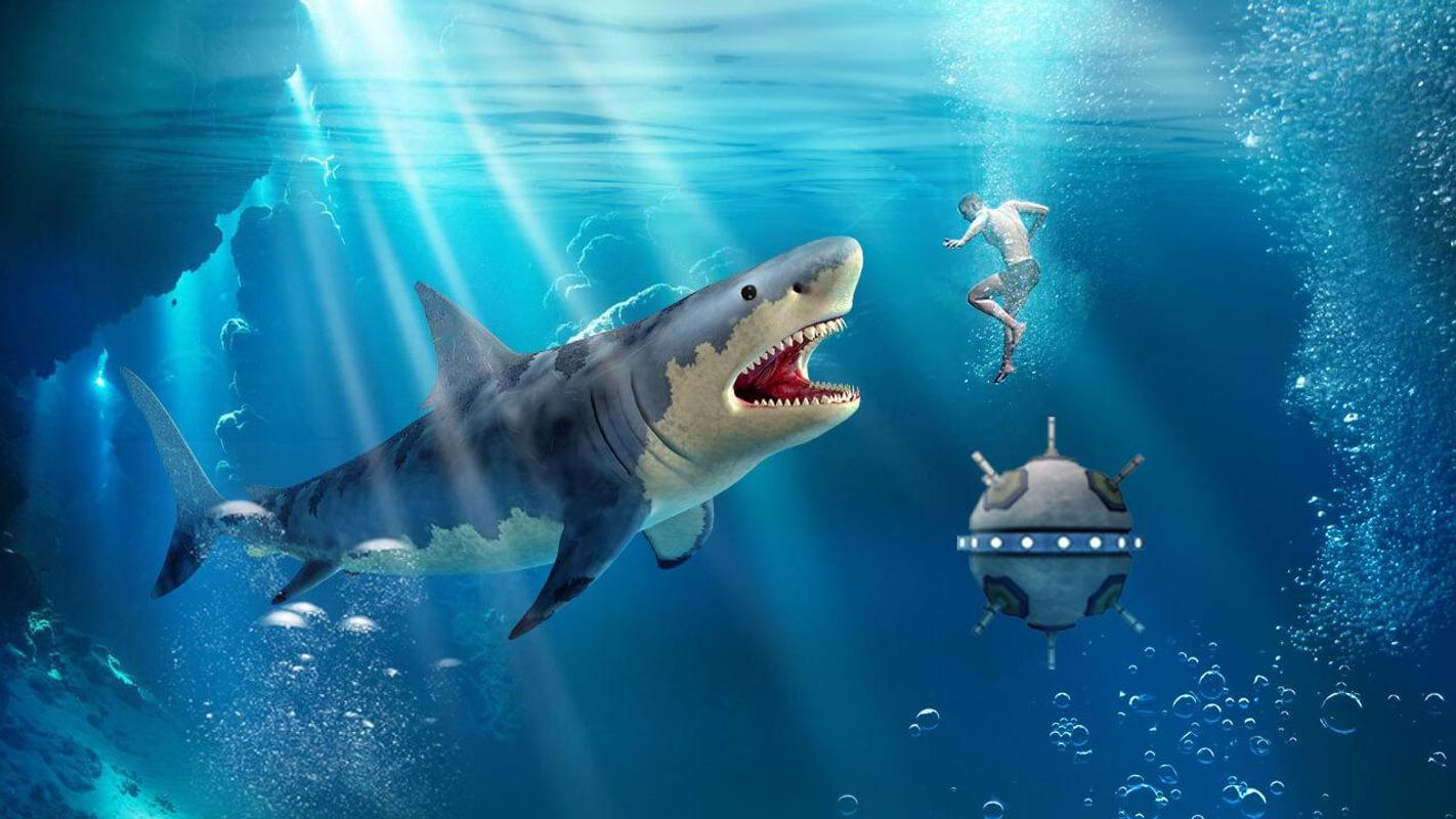 Angry Shark Angry Shark