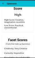 Newcastle Personality Assessor Screenshot 3
