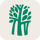 Banyan Tree Mayakoba APK