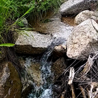 Mountain Stream Wallpaper icône