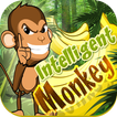 ”Intelligent Monkey