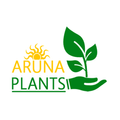 Aruna Plants