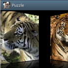 Tiger Jigsaw Puzzle icon