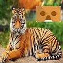 Tiger 360 VR for Cardboard APK