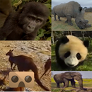 Wild Life Animals VR 360 APK
