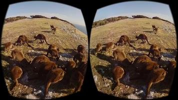 Wild Life Animals VR 360 تصوير الشاشة 1