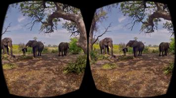 Wild Life Animals VR 360 تصوير الشاشة 2