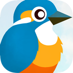 Birdy Bird - Free Game APK