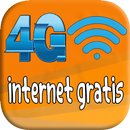 internet gratis - simulated APK