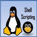 Shell Scripting Interview Questions APK