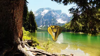 Descargar APK de Cobra Plus IPTV