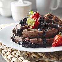 Homemade Waffle Recipes Poster