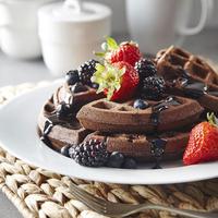 پوستر Homemade Waffle Recipes