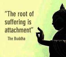 The Buddha's Teaching Affiche
