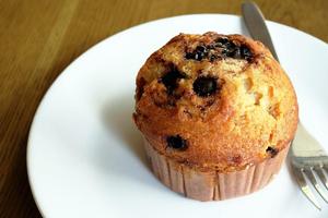 Homemade Muffin Recipes 截图 1