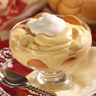 Icona Homemade Pudding Recipes