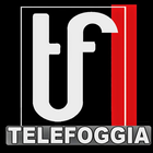 TeleFoggiaTv أيقونة