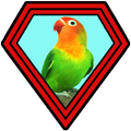 Lovebird Galak