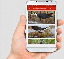 Suara Burung Ruak Ruak screenshot 1
