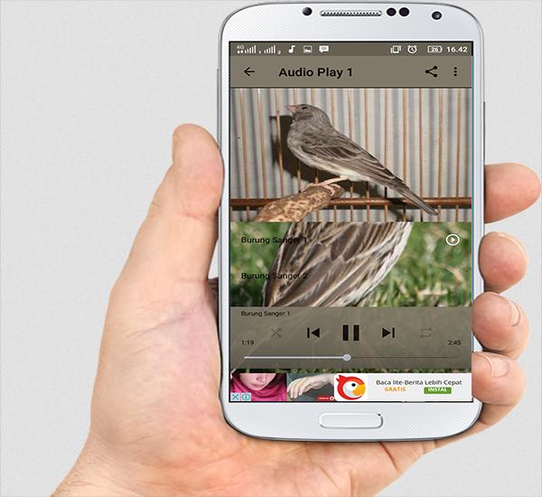 Suara Burung Sanger Para Android Apk Baixar