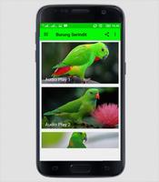 برنامه‌نما Suara Burung Serindit عکس از صفحه