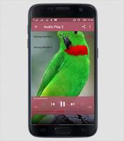 برنامه‌نما Suara Burung Serindit عکس از صفحه