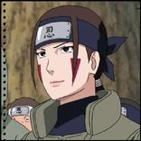 Best Hana Inuzuka Wallpaper