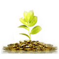wiki finance and invest