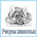 APK Рисуем животных