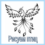 Учимся рисовать птиц