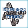 рисунки карандашом для срисовки