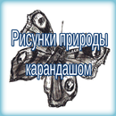рисунки карандашом для срисовки APK