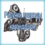рисунки карандашом для срисовки ícone
