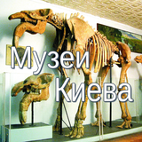 Музеи Киева-icoon