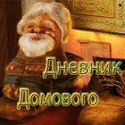 Дневник Домового иконка