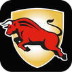 SmartHUD BullsOne