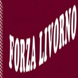 Icona Forza Livorno!