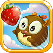 Catch My Berry
