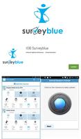 IOB Surveyblue poster