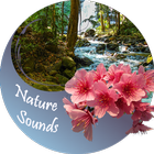 Nature sounds ไอคอน