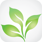 Cassava for android أيقونة