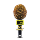 Icona MTV VJ HUNT INDONESIA