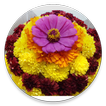 Bathukamma Telugu Songs