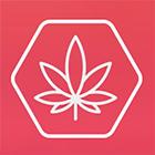 Marijuana.ai ikon