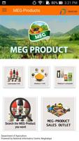 MEGPRODUCT-poster