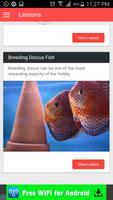 Discus Fish Secrets 截图 2