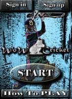 WoW Cricket!! poster